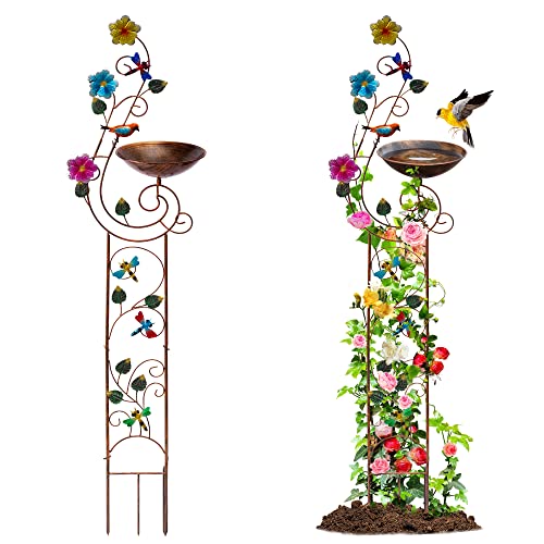 Metal Bird Bath with Trellis for Outside