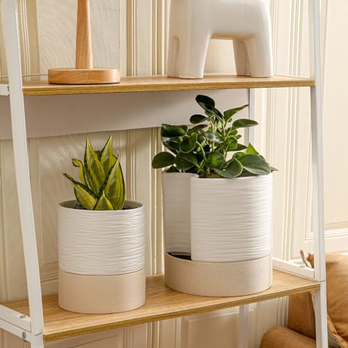 Ceramic Self Watering Plant Pot for Indoor Plants