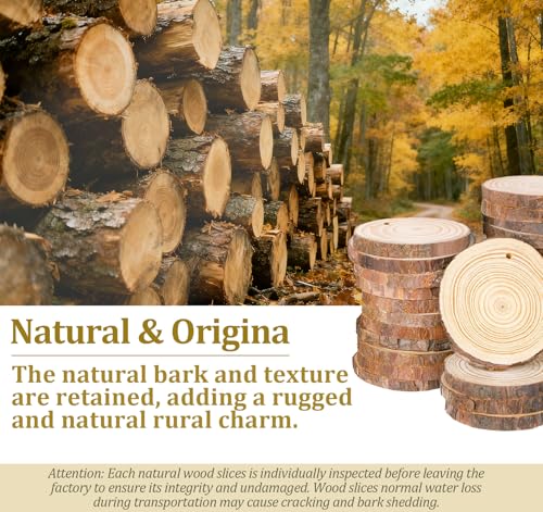 50 Pcs Wood Slices for Crafts (50 Count)