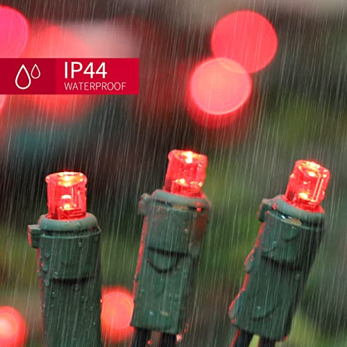 Red Valentines Day Decor Lights Green Wire (100 Count)