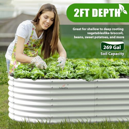 Anleolife 6 Bed 6x3x2ft Oval Galvanized Raised Garden Beds (6 Count)