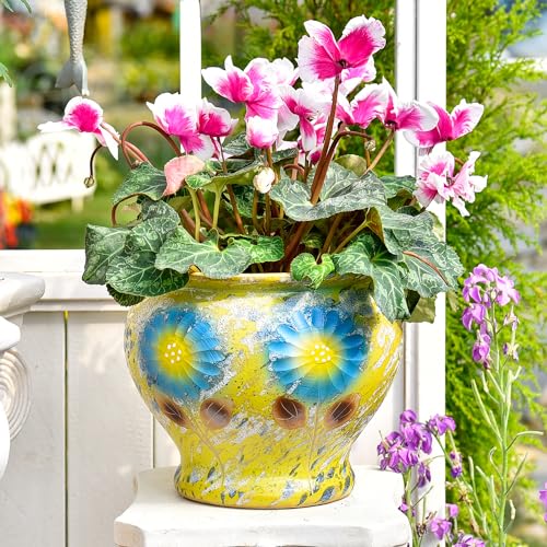 9 Inch Hand Painted Ceramic Succulent Plant Pots