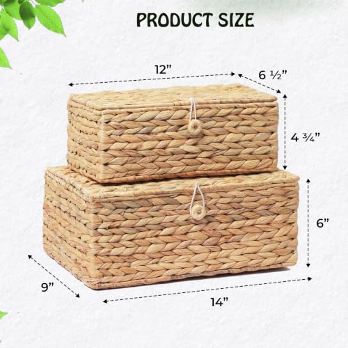 Set of 2 Rectangular Wicker Storage Bins with Lid (2 Count)