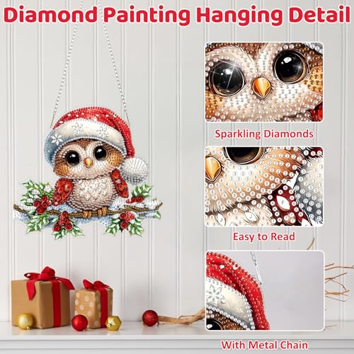 Christmas Owl Diamond Art Hanging Kits for Adult