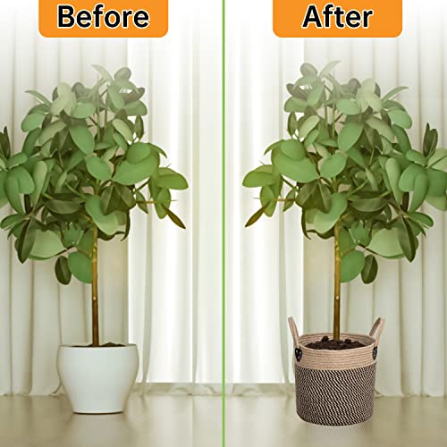 Plant Basket for Indoor Plants with Handles
