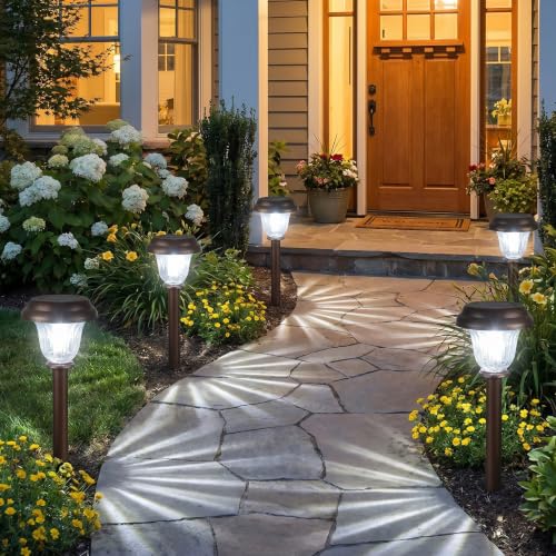 Solar Lights Outdoor (6 Count)