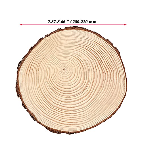 5 PCS 8 9 Inch Unfinished Woods Slices (5 Count)