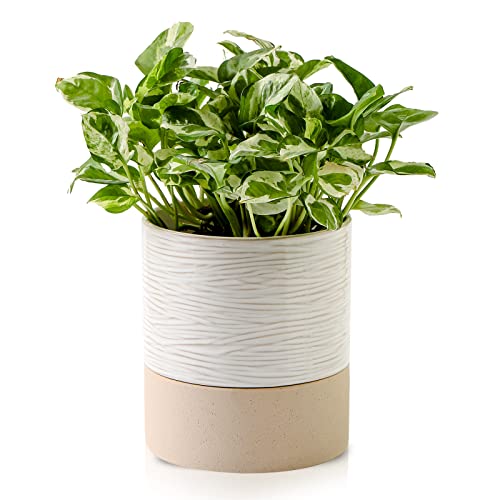 Ceramic Self Watering Plant Pot for Indoor Plants
