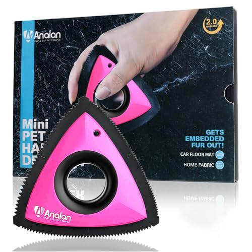 Mini Pet Hair Remover for Car Detailing Dog Hair Tool Brush