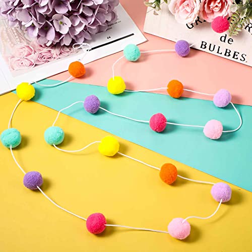 9.8FT Rainbow Pom Pom Tassel Garland for Classroom Felt Candy Color (43 Count)