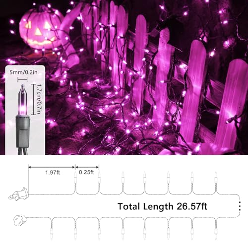 Purple Halloween Lights (33 Foot)