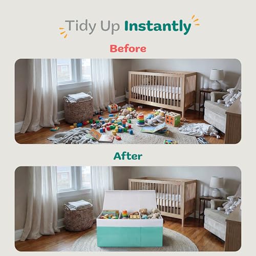 Extra Large Toy Storage Organizer with Lid