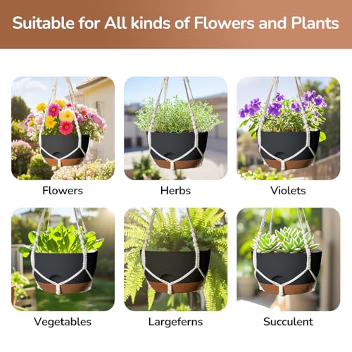 12 Inch Hanging Baskets for Plants Outdoor