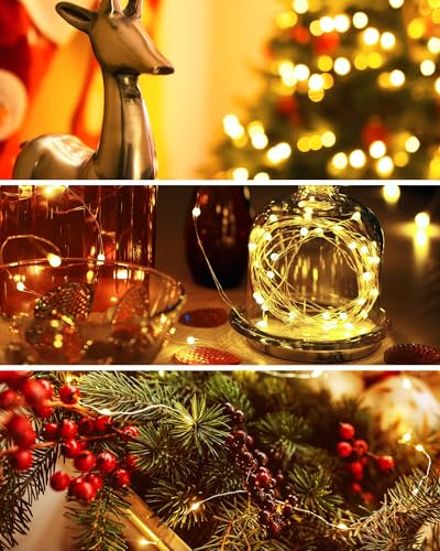 10 Pack Fairy Lights Battery Operated (10 Count)