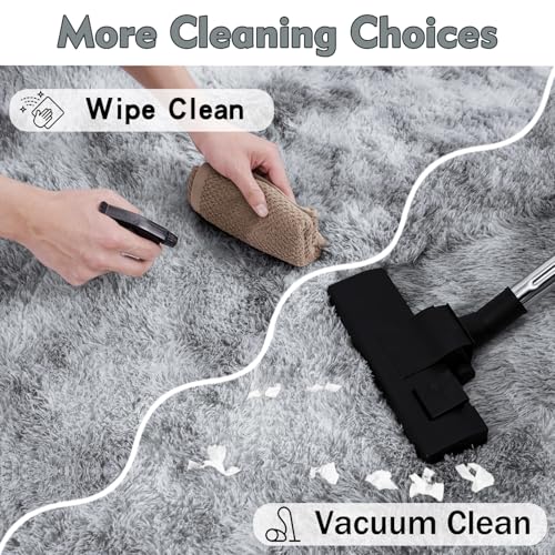 Rugs for Living Room (24 Sq Ft)