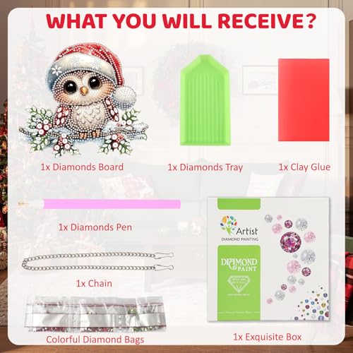 Christmas Owl Diamond Art Hanging Kits for Adult