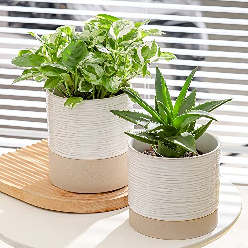 Ceramic Plant Pot