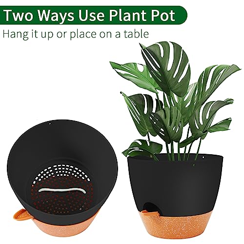 Hanging Planter (2 Count)