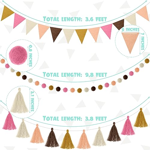 9.8 FT Rainbow Pom Pom Tassel Garland for Classroom Felt Boho Color