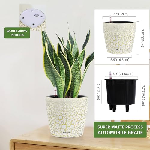 9x8 Self Watering Planter