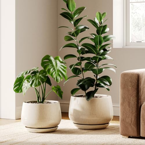 Ceramic Plant Pots (2 Count)