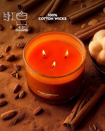 Luxury Spiced Cinnamon Candle