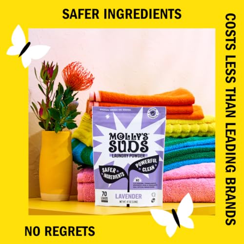Original Laundry Detergent Powder (79 Ounce)