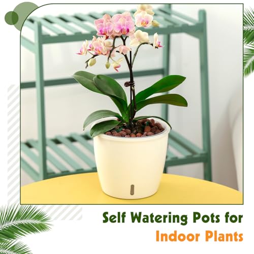 Self Watering Pots for Indoor Plants