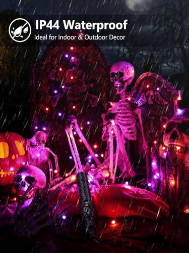 Purple & Orange Halloween Lights