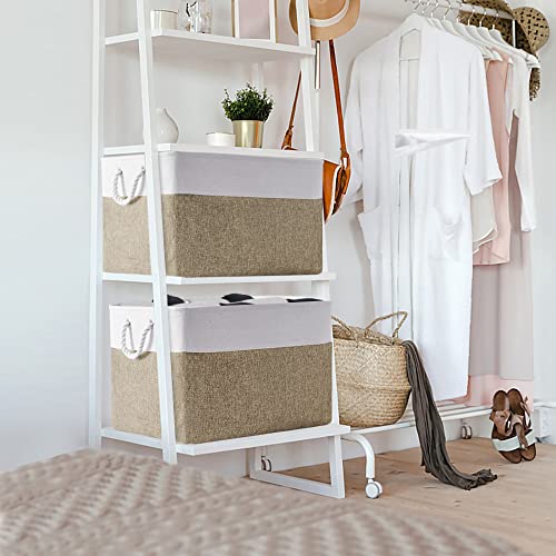 Organization Basket (3 Count)