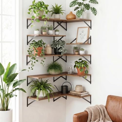 Floating Shelves Set of 3