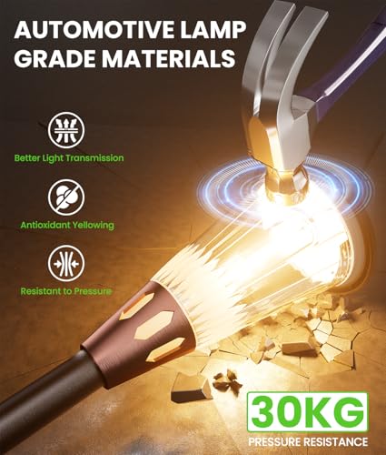 Solar Outdoor Lights for Yard (8 Count)