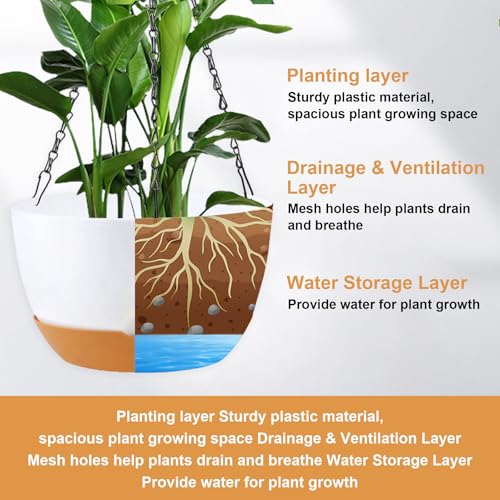 Hanging Planters (3 Count)