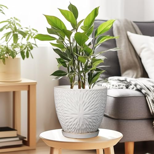 8 Inch Ceramic Plant Pot with Drainage Hole and Saucer