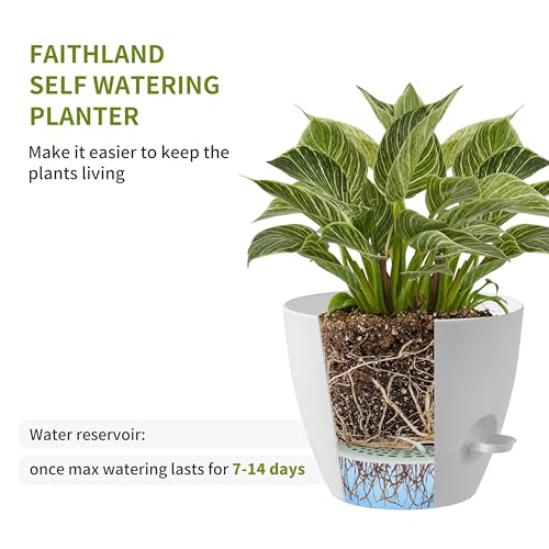 3 Pack Planter Pots (3 Count)