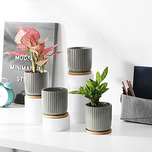 4 in Cylinder Ceramic Plant Pots with Trays (4 Count)