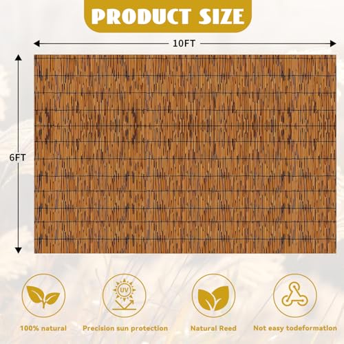 Bamboo Privacy Fence