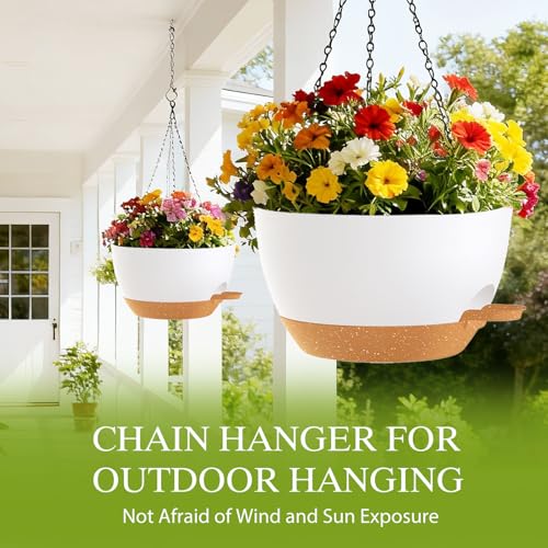 10 Inch Hanging Baskets 2 PC with Chains (2 Count)