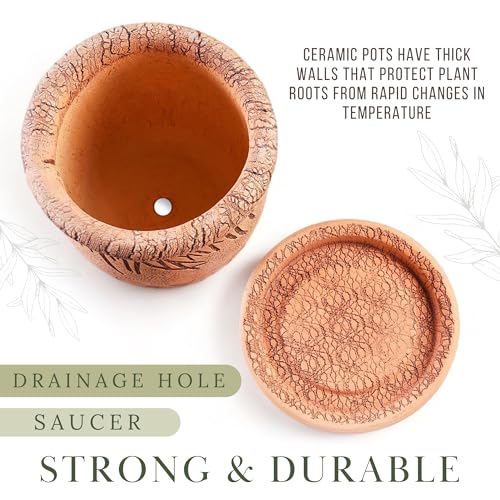 Ceramic Pot with Drainage Hole and Saucer