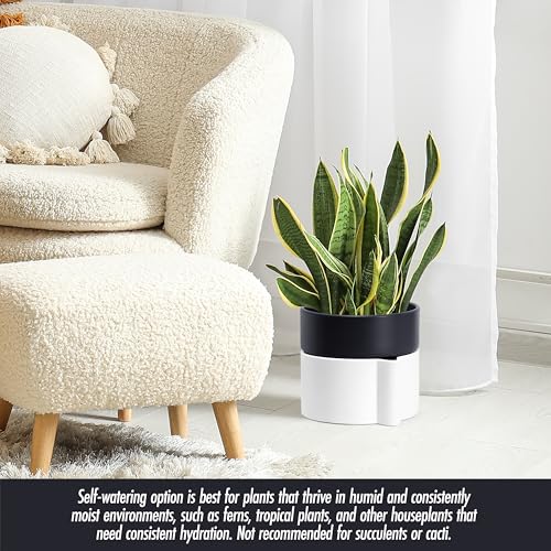 8 Inch Self Watering Planter Pot with Terracotta Insert