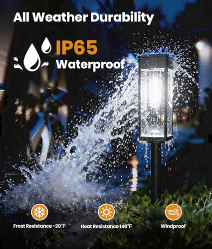 Solar Lights Outdoor (6 Count)