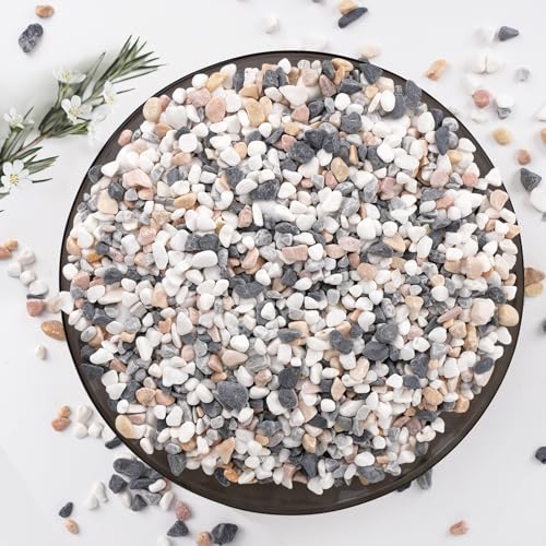 5 lbs Small Rocks for Plants