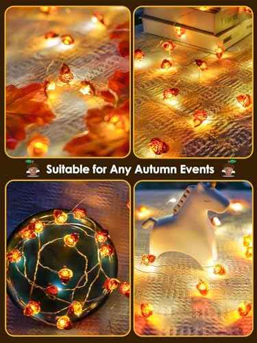 Fall Decor Acorn Fairy Lights Battery Operated with Remote 10FT 30 LED