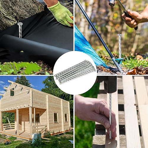 60 PCS 8 Inch Spiral Metal Galvanized Landscape Spikes (60 Count)
