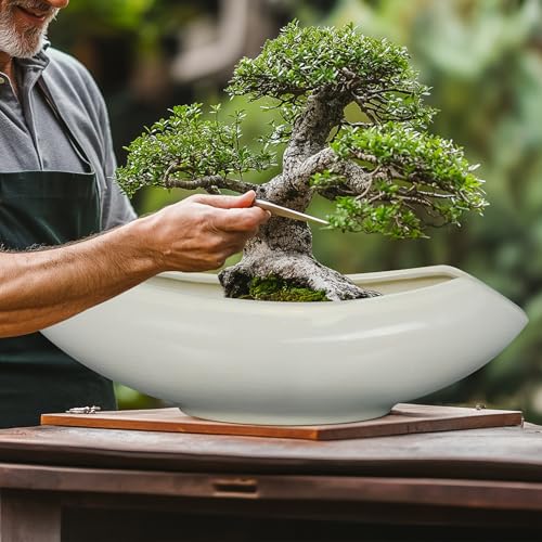 Bonsai Pots 18 Inch