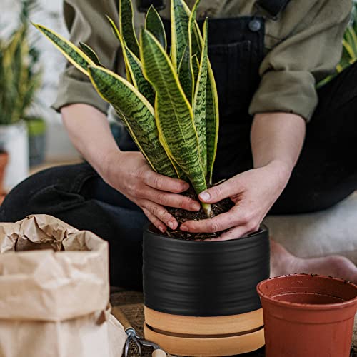 6 Inch Plant Pots