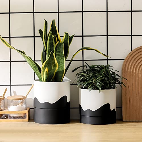 Ceramic Self Watering Plant Pot for Indoor Plants