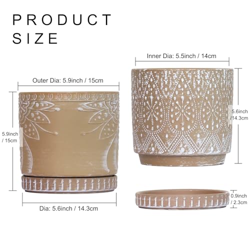 6 Inch Indoor Plant Pots with Drainage Holes and Saucers (2 Count)