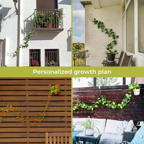 Chain Trellis for Climbing Plants