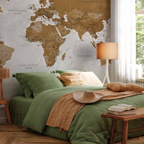 Wall Mural World Map 197x110 in